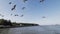 View on Port of Klaipeda on a sunny day. Seagulls flying