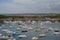 View of the port in the town of Le Conquet (France).