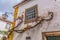 View of a Portuguese vernacular building with climb plant on facade, on medieval village of Ã“bidos, in Portugal