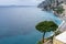 View of Positano beautiful blue sea coast beach in Summer vacation, selective focus on Pine tree