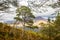 View of the post-glacial Caledonian Forest at Beinn Eighe Nature Reserve near Kinlochleven in the Highlands of Scotland