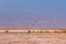 View of prairie at Atacama desert