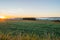 View of the prairies of Gaume at sunrise