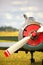 View on propeller on old russian airplane on green grass