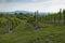 View of Prosecco vineyards from Valdobbiadene, Italy during spring