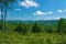 View of Puffy Clouds, Trees and a Mountain Meadow and the Blue Ridge Mountains