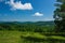 View of Puffy Clouds, Trees and a Mountain Meadow and the Blue Ridge Mountains