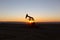 View of Pumpjack at Sunset from Petroleum Area