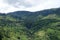 View of Puna Waterfall in Central Province, Sri Lanka