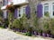 View of purple shutters and purple flower pots of an old stone house in Alacati in Turkey