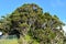 View from Puu O Kila Lookout at Waimea Canyon State Park on the island of Kauai in Hawaii