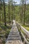 View of The Pyha-Luosto National Park in summer, wooden stairway, trees and rocks, Lapland, Finland