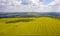 View from the quadrocopter on the field of flowering rapeseed with intricate patterns of clouds floating in the sky