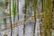 View of a quarry pond with a special focus on plants that are reflected in the water from the shore with overcast skies and calm