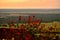 View of Queen Elizabeth National Park and the wonderful savanna