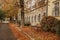 View of quiet empty commerce street with  autumn leaves on the side