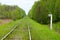 View of railroad track of abandoned old railway in the forest with kilometer post