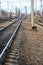 View on railroad track on autumn