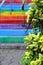 The view on the rainbow stairs with the plant on the foreground.