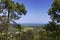 View from Ramatuelle at the landscape near Saint-Tropez, Cote d\'Azur, Provence, Southern France