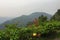 View of Ranomafana National Park and the tropical rainforests in Madagascar