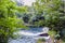 View of the rapids of the river Eume with the shores covered wit