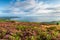 The view from Ravenscar to Robin Hood`s Bay in the North York Moors