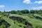 View ravine covered with greenery. Landscape valley with geological faults.