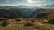 View of a ravine on a mountain plateau Durmitor national Park on a summer evening in Montenegro