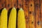 View of the raw home Golden corn cob on the table, selective focus