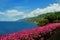 View on Recco with Bougainville