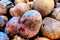 View of red beets on a shelf of a grocery store, vegetables, healthy nutrition