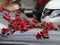 A view of red kapok falling on a car under a tree.