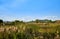 View of reed beds and a hut at the Suncheonman Bay Wetland Reserve in South Korea