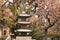 view of religious japanese temple in an outdoor cemetery