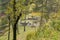 View of the remains of the fortress wall from the Bran castle windowin. Bran city in Romania