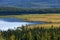 View of remote Engineer Lake wet meadows and surrounding forrests in the evening light of a sunny day in summer.