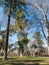 View of the Retiro Park in Madrid. The Buen Retiro Park is a historic garden and public park