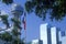 View of Reunion Tower and Hyatt Hotel in Dallas, TX through trees with state flag