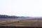 View Rice fields began to grow in the countryside of Japan