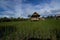 View of rice fields and cottage  farmer  in thailand