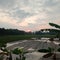 View of rice fields in the morning in the countryside