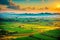 a view of rice fields in the morning with a faint sun in the East Jakarta BKT area.