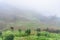 view of rice terraced fields in fog