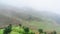 view of rice terraced fields in haze