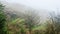 view of rice terraced hills in fog