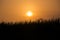 View of the ricefields in Ubud Indonesia during sunset