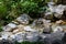 View of Rinka Falls in the Logar Valley, Slovenia