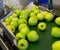 View of ripe quality apples on conveyor belt of sorting production line