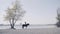 View on the river beach with a cowgirl on the horse, 4k